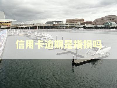 信用卡逾期是指损吗