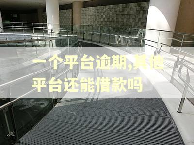 一个平台逾期,其他平台还能借款吗