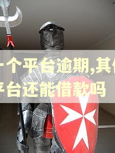 一个平台逾期,其他平台还能借款吗 一个平台逾期,其他平台还能借款吗