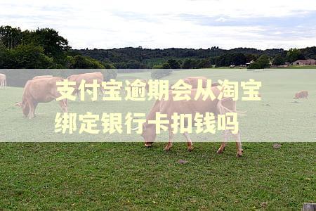 支付宝逾期会从淘宝绑定银行卡扣钱吗