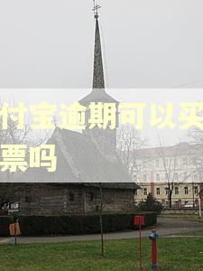 支付宝逾期可以买火车票吗