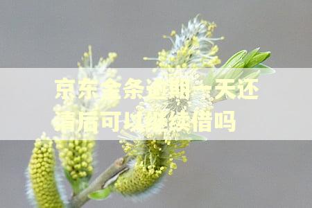 京东金条逾期一天还清后可以继续借吗