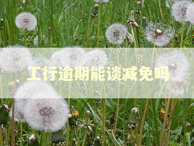 工行逾期能谈减免吗