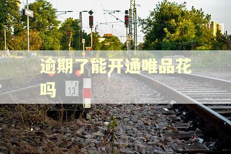 逾期了能开通唯品花吗