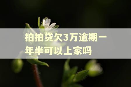 拍拍贷欠3万逾期一年半可以上家吗