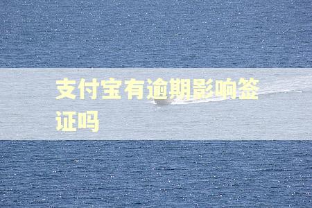 支付宝有逾期影响签证吗