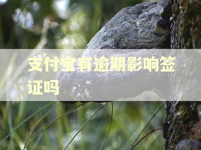 支付宝有逾期影响签证吗
