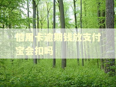 信用卡逾期钱放支付宝会扣吗