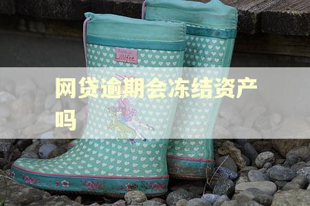 网贷逾期会冻结资产吗