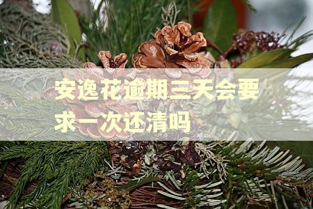 安逸花逾期三天会要求一次还清吗