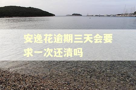 安逸花逾期三天会要求一次还清吗