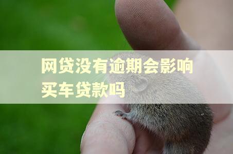 网贷没有逾期会影响买车贷款吗