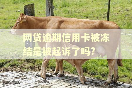 网贷逾期信用卡被冻结是被起诉了吗?