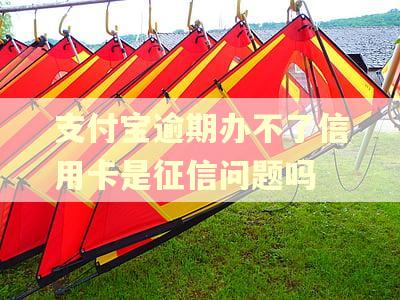 支付宝逾期办不了信用卡是征信问题吗