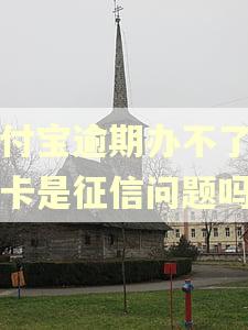支付宝逾期办不了信用卡是征信问题吗