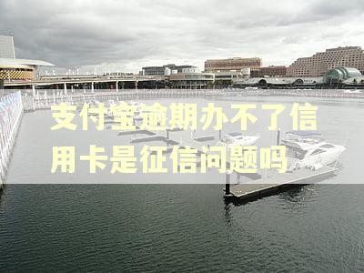 支付宝逾期办不了信用卡是征信问题吗
