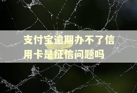 支付宝逾期办不了信用卡是征信问题吗