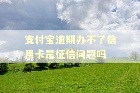 支付宝逾期办不了信用卡是征信问题吗 支付宝逾期办不了信用卡是征信问题吗