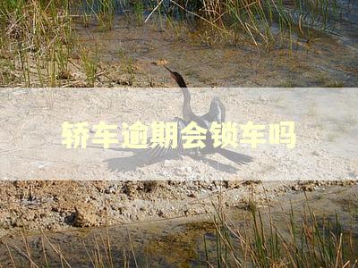 轿车逾期会锁车吗