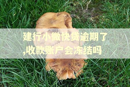 建行小微快贷逾期了,收款账户会冻结吗