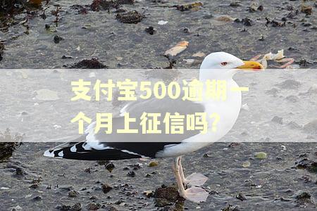 支付宝500逾期一个月上征信吗?