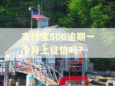 支付宝500逾期一个月上征信吗?