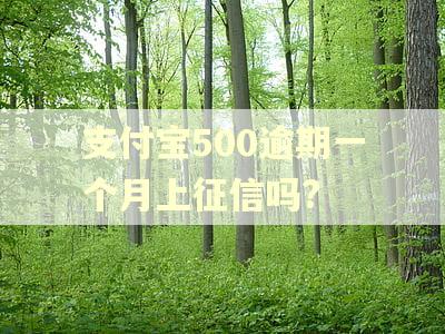 支付宝500逾期一个月上征信吗? 支付宝500逾期一个月上征信吗?