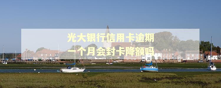 光大银行信用卡逾期一个月会封卡降额吗