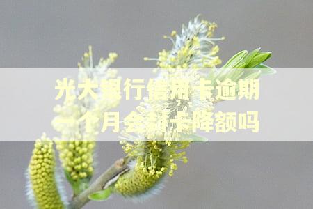 光大银行信用卡逾期一个月会封卡降额吗