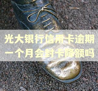 光大银行信用卡逾期一个月会封卡降额吗