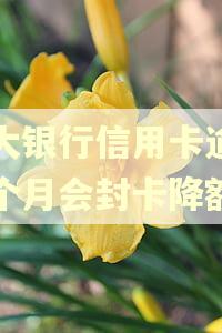光大银行信用卡逾期一个月会封卡降额吗