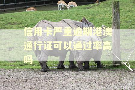 信用卡严重逾期港澳通行证可以通过率高吗