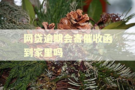 网贷逾期会寄催收函到家里吗