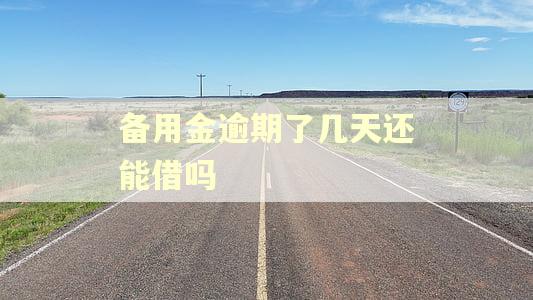 备用金逾期了几天还能借吗