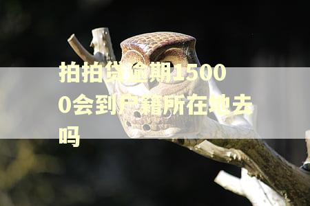 拍拍贷逾期15000会到户籍所在地去吗