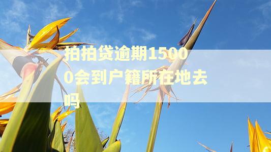 拍拍贷逾期15000会到户籍所在地去吗