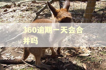 360逾期一天会合并吗
