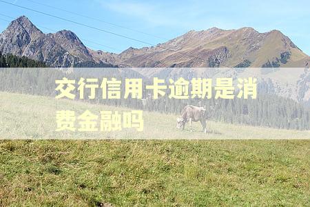 交行信用卡逾期是消费金融吗