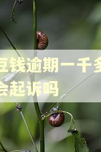 豆豆钱逾期一千多块钱会起诉吗