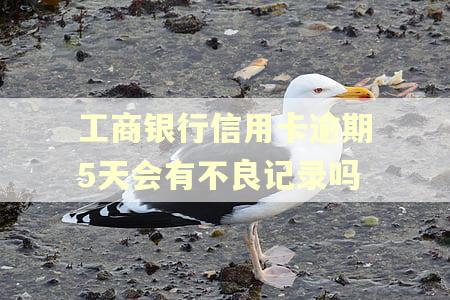 工商银行信用卡逾期5天会有不良记录吗