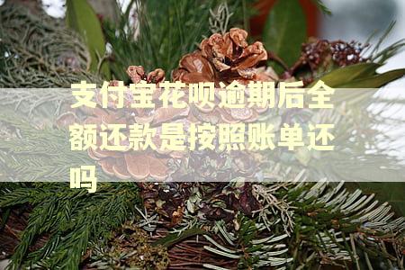 支付宝花呗逾期后全额还款是按照账单还吗
