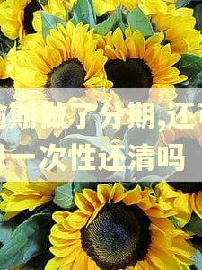 逾期做了分期,还可以一次性还清吗