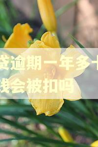 网贷逾期一年多卡里的钱会被扣吗