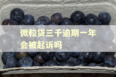 微粒贷三千逾期一年会被起诉吗