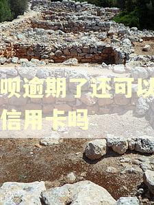 借呗逾期了还可以申请信用卡吗