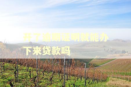 开了逾期证明就能办下来贷款吗
