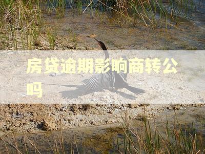 房贷逾期影响商转公吗