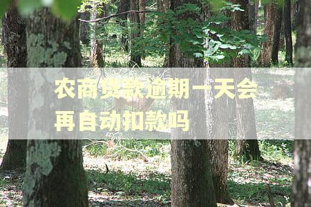 农商贷款逾期一天会再自动扣款吗