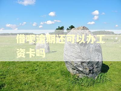 借呗逾期还可以办工资卡吗
