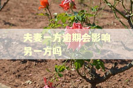 夫妻一方逾期会影响另一方吗